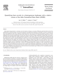 Quantifying burn severity in a heterogeneous landscape with a relative