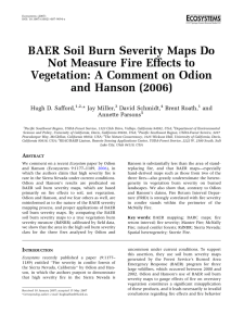 BAER Soil Burn Severity Maps Do Not Measure Fire Effects to