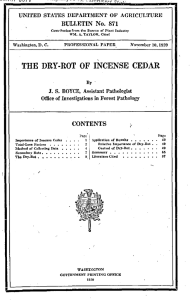 THE  DRY-ROT  OF  INCENSE  CEDAR 1.