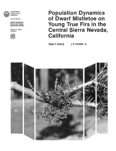Population Dynamics of Dwarf Mistletoe on Young True Firs in,the Central Sierra Nevada,