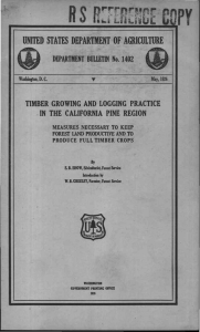 R TIMBER  GROWING  AND  LOGGING  PRACTICE .