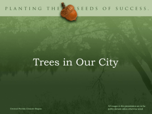 Trees in Our City public domain unless otherwise noted