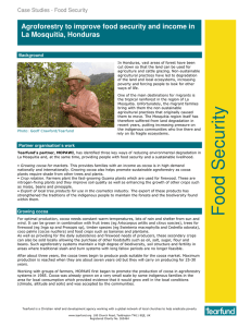 Agroforestry to improve food security and income in La Mosquitia, Honduras Background