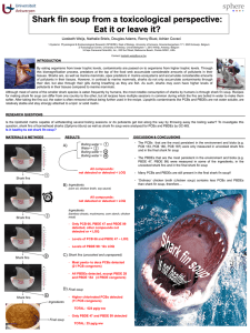Shark fin soup from a toxicological perspective: