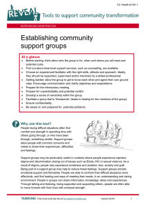 Establishing community support groups At a glance