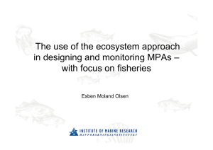 The use of the ecosystem approach