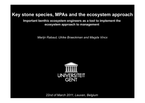 Key stone species, MPAs and the ecosystem approach y p ,