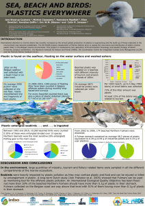 SEA, BEACH AND BIRDS: PLASTICS EVERYWHERE