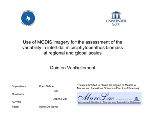 Use of MODIS imagery for the assessment of the