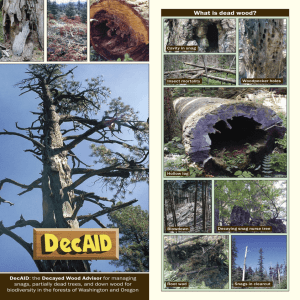 What is dead wood? DecAID : the Decayed Wood Advisor for managing