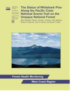 The Status of Whitebark Pine Along the Pacific Crest Umpqua National Forest