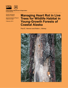 Managing Heart Rot in Live Trees for Wildlife Habitat in Coastal Alaska