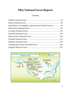 Pilot National Forest Reports