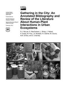 Gathering in the City: An Annotated Bibliography and Review of the Literature