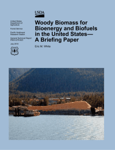 Woody Biomass for Bioenergy and Biofuels in the United States— A Briefing Paper