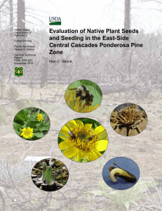 Evaluation of Native Plant Seeds and Seeding in the East-Side Zone