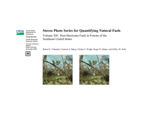 Stereo Photo Series for Quantifying Natural Fuels  Southeast United States