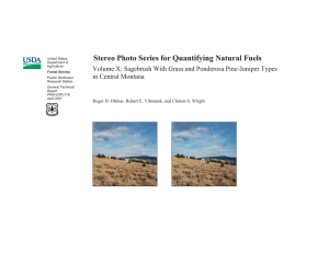 Stereo Photo Series for Quantifying Natural Fuels in Central Montana