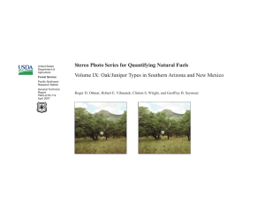 Stereo Photo Series for Quantifying Natural Fuels