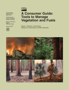 A Consumer Guide: Tools to Manage Vegetation and Fuels