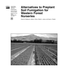 Alternatives to Preplant Soil Fumigation for Western Forest Nurseries