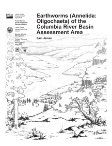 Earthworms (Annelida: Oligochaeta) of the Columbia River Basin Assessment Area