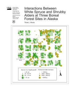 Interactions Between White Spruce and Shrubby Alders at Three Boreal