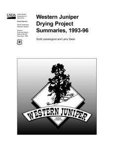 Western Juniper Drying Project Summaries, 1993-96