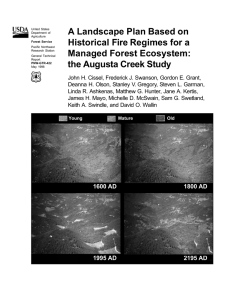 A Landscape Plan Based on Historical Fire Regimes for a