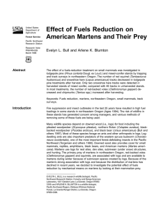 Effect of Fuels Reduction on American Martens and Their Prey