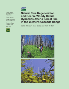 Natural Tree Regeneration and Coarse Woody Debris Dynamics After a Forest Fire