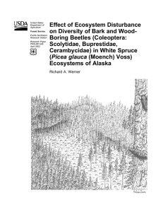 Effect of Ecosystem Disturbance on Diversity of Bark and Wood- Scolytidae, Buprestidae,