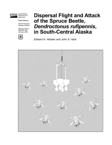 Dispersal Flight and Attack of the Spruce Beetle, in South-Central Alaska Dendroctonus rufipennis
