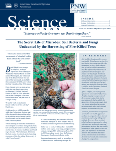 The Secret Life of Microbes: Soil Bacteria and Fungi F I