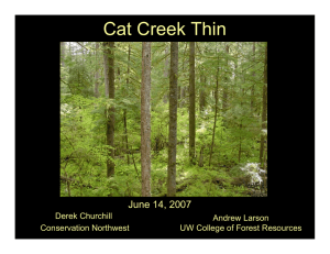 Cat Creek Thin June 14, 2007 Derek Churchill Andrew Larson