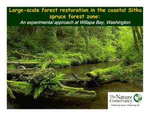 Large-scale forest restoration in the coastal Sitka spruce forest zone: