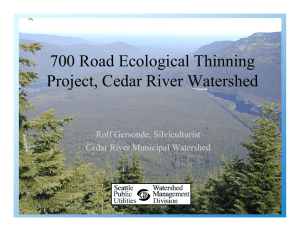 700 Road Ecological Thinning Project, Cedar River Watershed Rolf Gersonde, Silviculturist