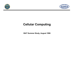Cellular Computing DARPA ISAT Summer Study, August 1996