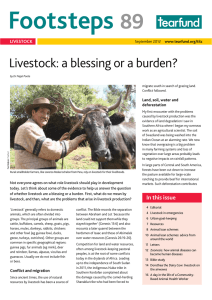 Footsteps  89 Livestock: a blessing or a burden?