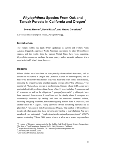 Phytophthora Tanoak Forests in California and Oregon  Introduction