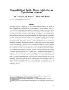 Susceptibility of Conifer Shoots to Infection by Phytophthora ramorum G.A. Chastagner