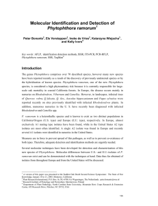 Molecular Identification and Detection of Phytophthora ramorum Introduction Peter Bonants