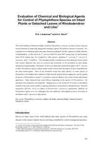 Evaluation of Chemical and Biological Agents Phytophthora and Lilac