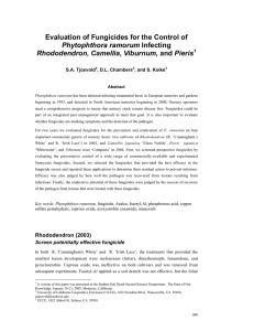 Evaluation of Fungicides for the Control of Phytophthora ramorum Rhododendron S.A. Tjosvold