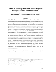Effect of Sanitary Measures on the Survival Phytophthora ramorum  M.M. Aveskamp
