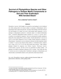 Phytophthora Pathogens in Soilless Media Components or Soil and Their Eradication