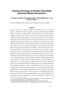 Chemical Ecology of Sudden Oak Death/ Ambrosia Beetle Interactions  Frances S. Ockels