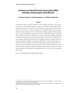 Ectomycorrhizal Diversity Associated With Lithocarpus densiflorus Nicholas Kordesch , Sarah Bergemann