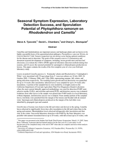 Seasonal Symptom Expression, Laboratory Detection Success, and Sporulation Phytophthora ramorum