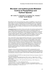 Microbial- and Isothiocyanate-Mediated Phytophthora  Pythium